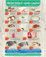 الانتقال إلى الصفحة 2 من 3