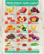 الانتقال إلى الصفحة 1 من 3