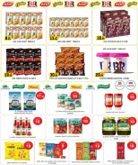 الانتقال إلى الصفحة 17 من 36