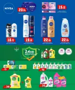 الانتقال إلى الصفحة 33 من 36