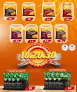 الانتقال إلى الصفحة 11 من 36