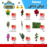 Ofertas de Mercados Ramez  Al Muladdah  de 25 a 31 diciembre Oferta especial - Página 21