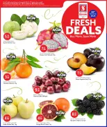 الانتقال إلى الصفحة 2 من 2