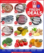 الانتقال إلى الصفحة 1 من 2