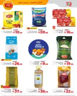 الانتقال إلى الصفحة 10 من 10