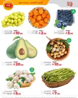 الانتقال إلى الصفحة 8 من 10