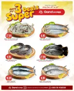 الانتقال إلى الصفحة 5 من 7