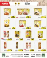 الانتقال إلى الصفحة 13 من 51