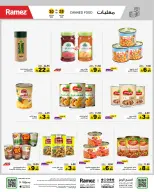 الانتقال إلى الصفحة 17 من 51