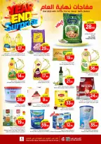 الانتقال إلى الصفحة 4 من 12