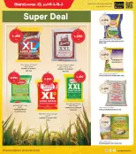 الانتقال إلى الصفحة 8 من 37