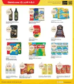 الانتقال إلى الصفحة 10 من 37