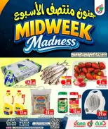 الانتقال إلى الصفحة 1 من 8