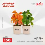 الانتقال إلى الصفحة 35 من 42