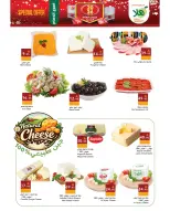 الانتقال إلى الصفحة 14 من 15