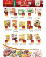 الانتقال إلى الصفحة 11 من 15