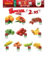 الانتقال إلى الصفحة 6 من 15