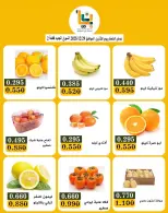 الانتقال إلى الصفحة 3 من 4