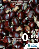 الانتقال إلى الصفحة 8 من 9