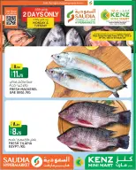 Kenz mini mart Qatar Offers from 29 to 30 December 2025 Monday and Tuesday offers