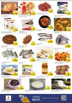 الانتقال إلى الصفحة 7 من 7