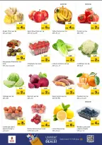 الانتقال إلى الصفحة 2 من 13