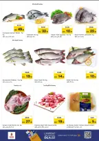 الانتقال إلى الصفحة 12 من 13