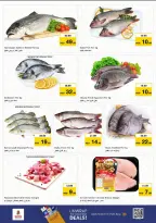 الانتقال إلى الصفحة 11 من 27