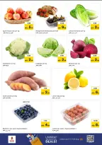 الانتقال إلى الصفحة 8 من 11