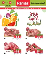 الانتقال إلى الصفحة 3 من 10