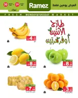 الانتقال إلى الصفحة 4 من 4