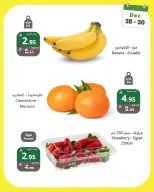 الانتقال إلى الصفحة 4 من 4