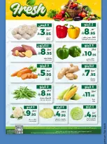 الانتقال إلى الصفحة 14 من 14