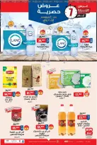 الانتقال إلى الصفحة 6 من 8