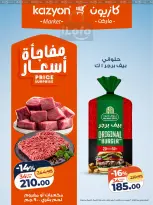 الانتقال إلى الصفحة 11 من 19