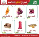 الانتقال إلى الصفحة 4 من 5