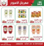 الانتقال إلى الصفحة 9 من 14