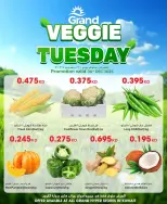 الانتقال إلى الصفحة 2 من 2