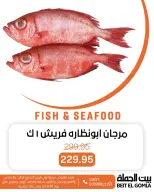 الانتقال إلى الصفحة 2 من 18