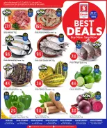 الانتقال إلى الصفحة 1 من 3