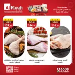 الانتقال إلى الصفحة 3 من 5