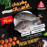 الانتقال إلى الصفحة 1 من 8