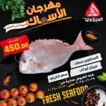 الانتقال إلى الصفحة 2 من 8