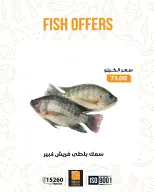 الانتقال إلى الصفحة 9 من 17