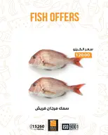 الانتقال إلى الصفحة 16 من 17