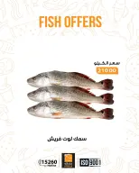 الانتقال إلى الصفحة 12 من 17