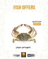 الانتقال إلى الصفحة 14 من 17