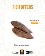 الانتقال إلى الصفحة 13 من 17