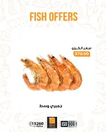 الانتقال إلى الصفحة 4 من 17