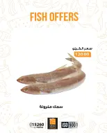 الانتقال إلى الصفحة 17 من 17